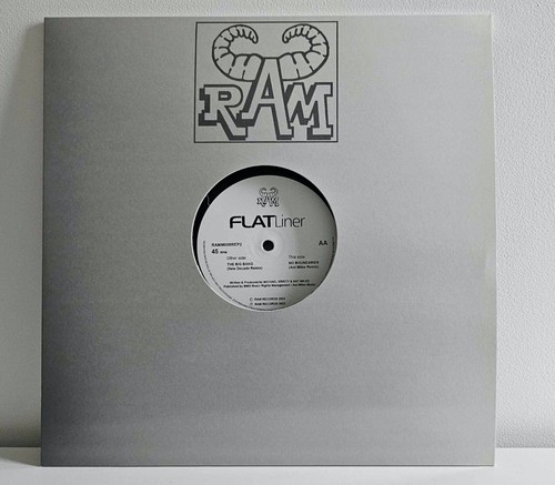 Flatliner the big - flatliner, rmx